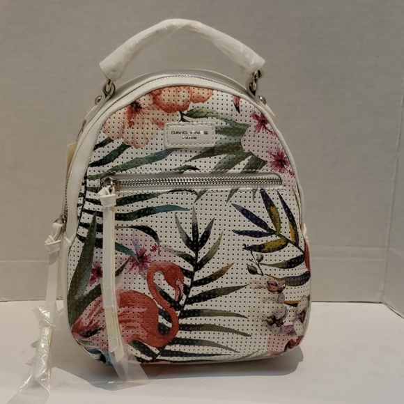 david jones kanken